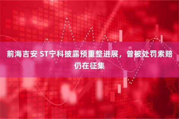 前海吉安 ST宁科披露预重整进展，曾被处罚索赔仍在征集