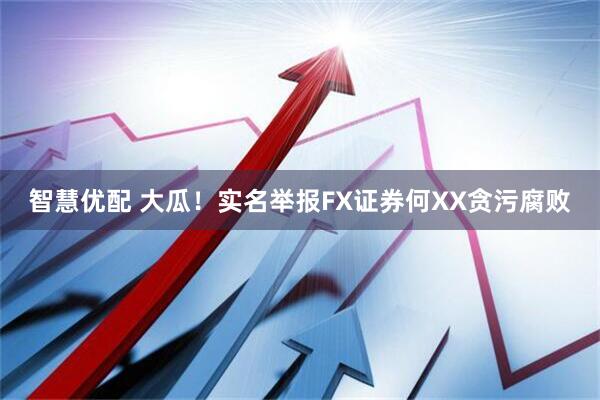 智慧优配 大瓜！实名举报FX证券何XX贪污腐败