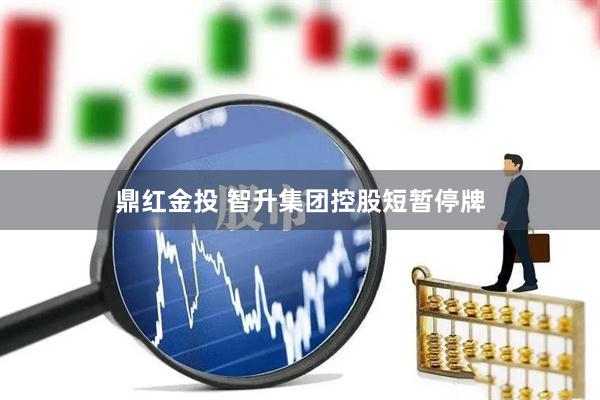 鼎红金投 智升集团控股短暂停牌