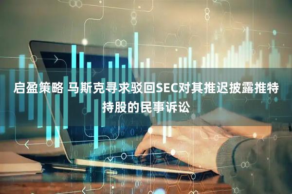 启盈策略 马斯克寻求驳回SEC对其推迟披露推特持股的民事诉讼