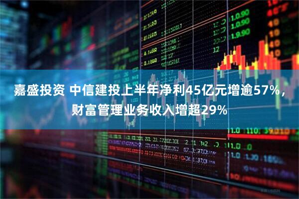 嘉盛投资 中信建投上半年净利45亿元增逾57%，财富管理业务收入增超29%