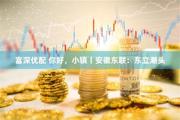 富深优配 你好，小镇丨安徽东联：东立潮头