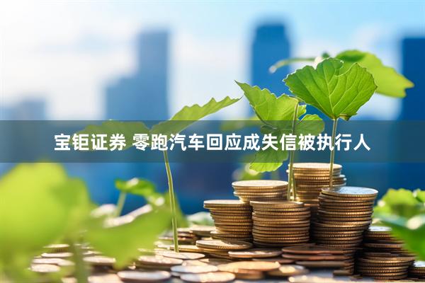 宝钜证券 零跑汽车回应成失信被执行人